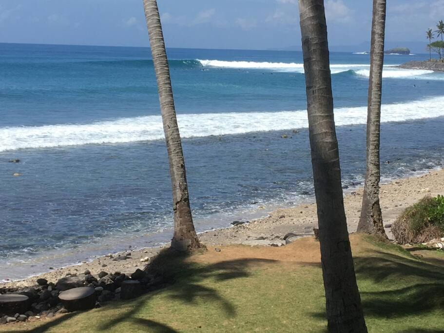 Photo of Outdoor in Jasri