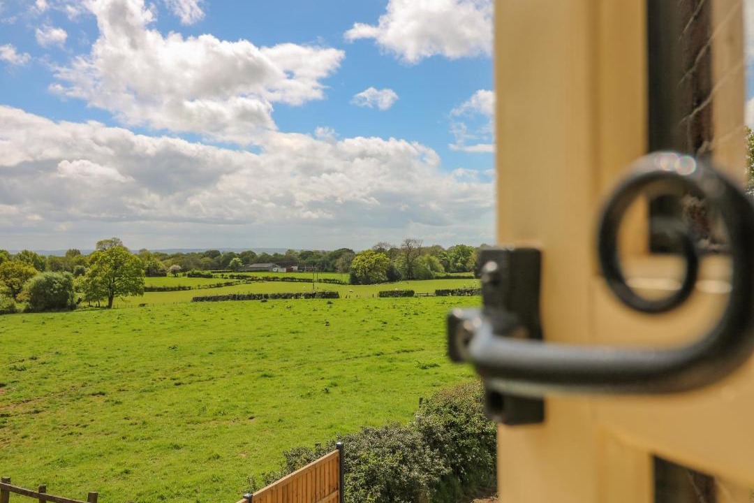 Photo of Others in Amerton