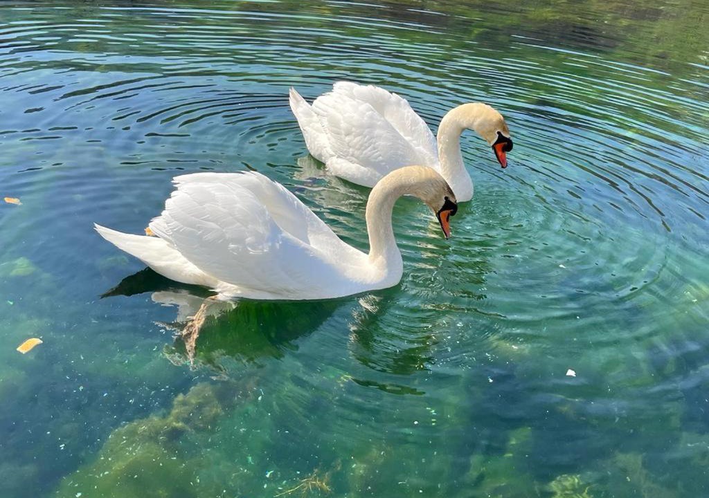 Photo of Others in Lika-Senj