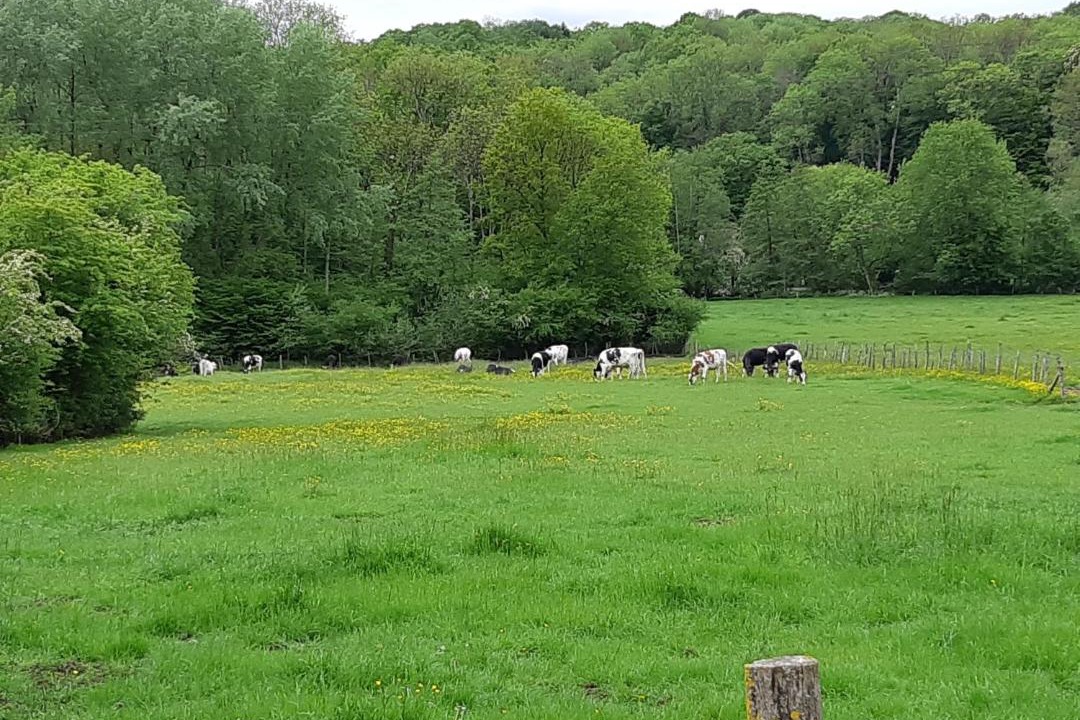 Photo of Others in Saint-Augustin
