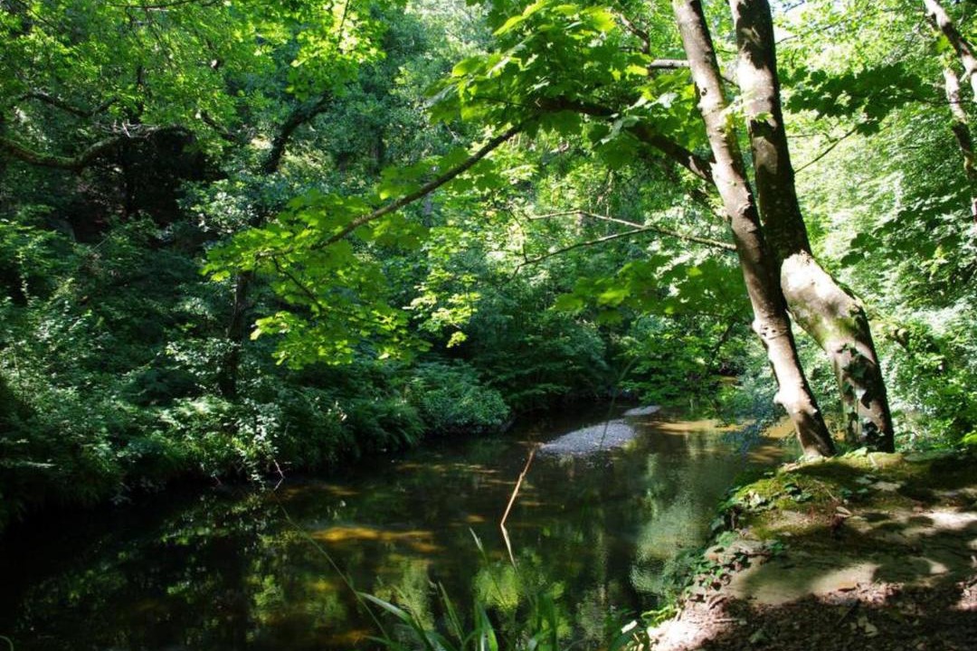 Photo of Others in Bodmin