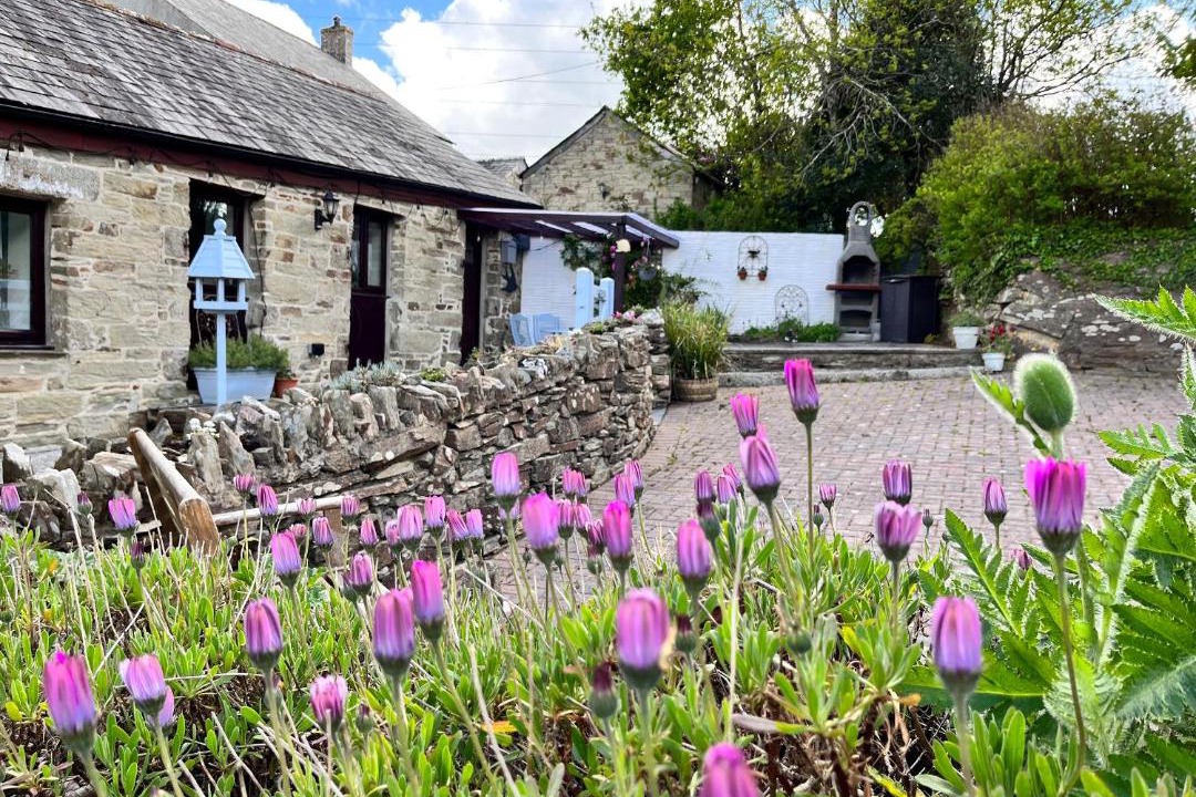 Photo of Others in Lower Trengale