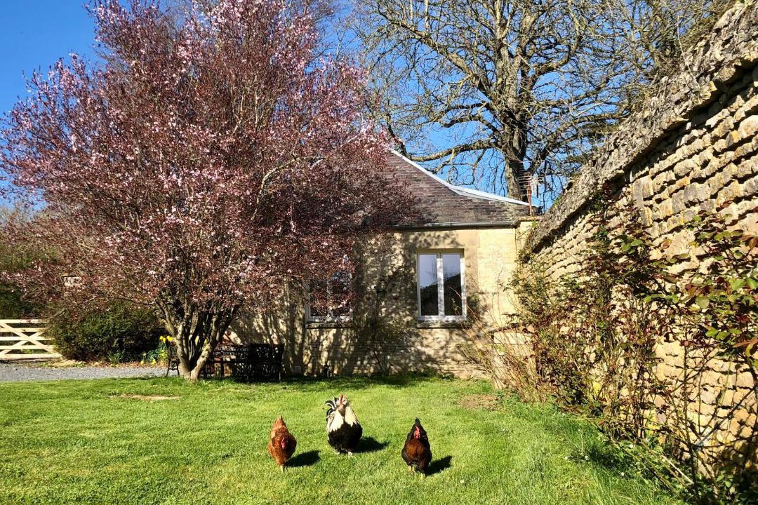 Photo of Buildings in Saint-Manvieu-Norrey