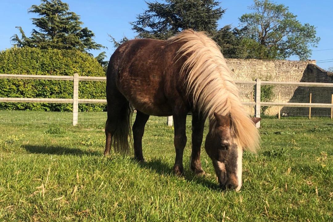 Photo of Others in Saint-Manvieu-Norrey