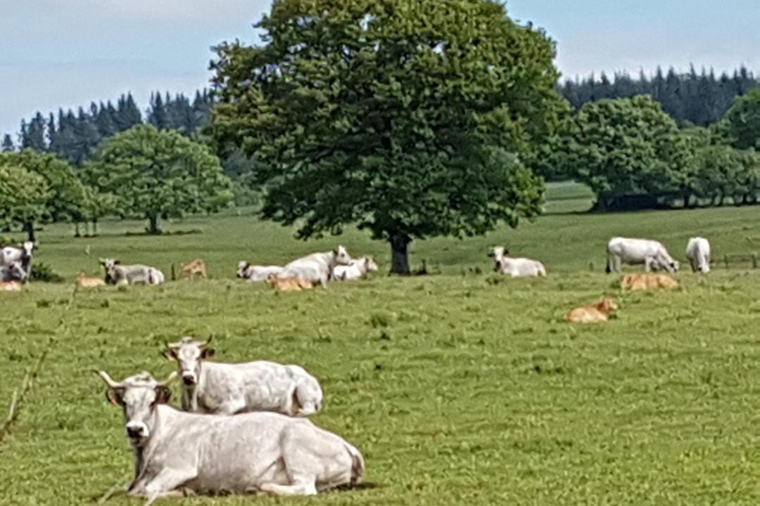 Photo of Others in La Tourette-Cabardes