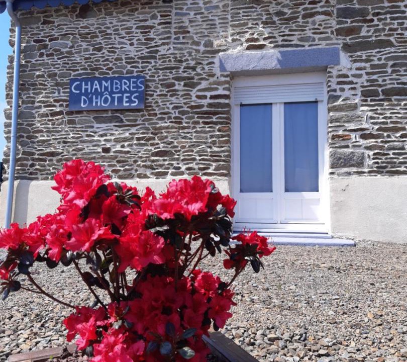 Photo of Others in Tanis