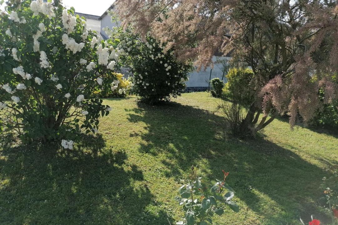 Photo of Others in Ballon