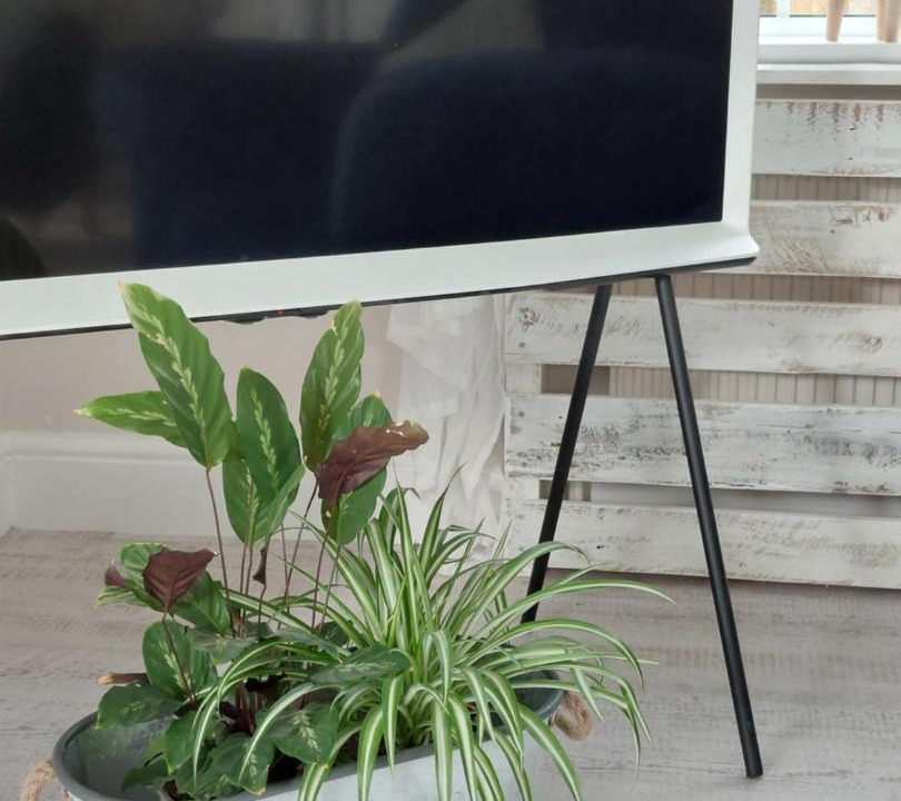 Photo of Others in Chichester