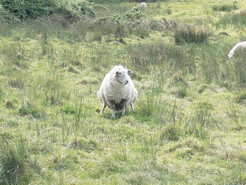 Photo of Outdoor in Dorking