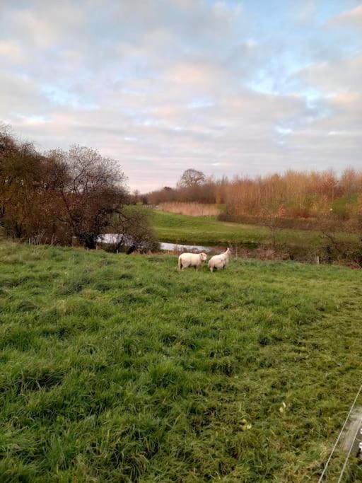 Photo of Others in Couvains