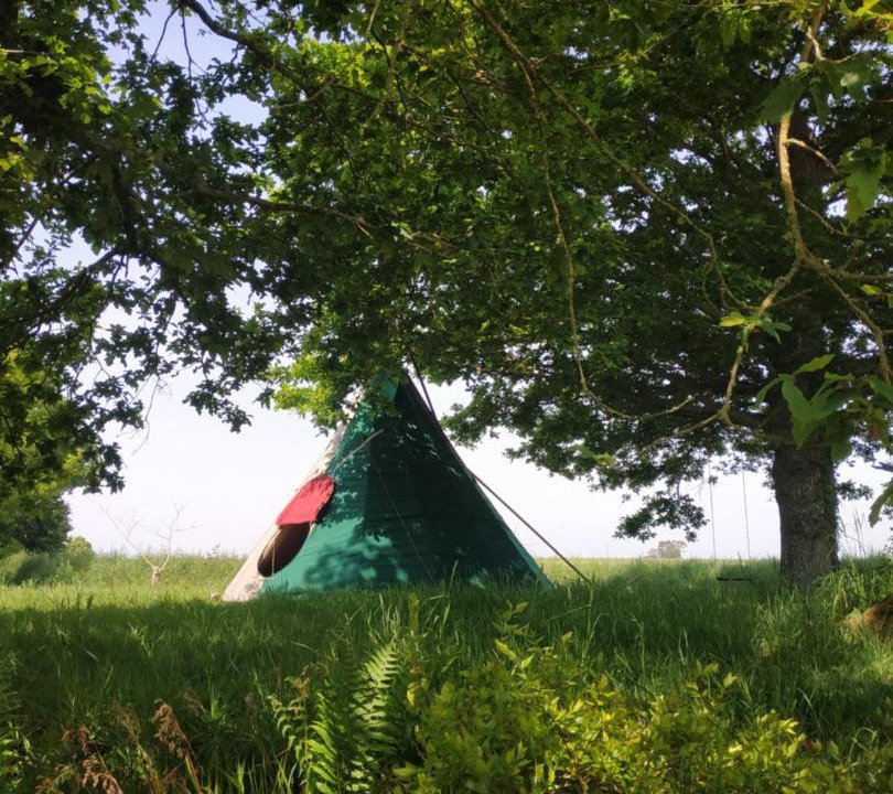 Photo of Others in Bazouges-la-Perouse
