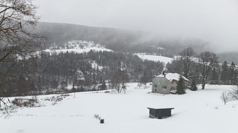 Photo of Others in Lelex