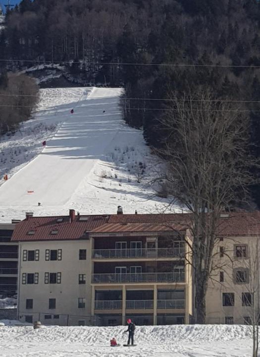 Photo of Others in Lelex