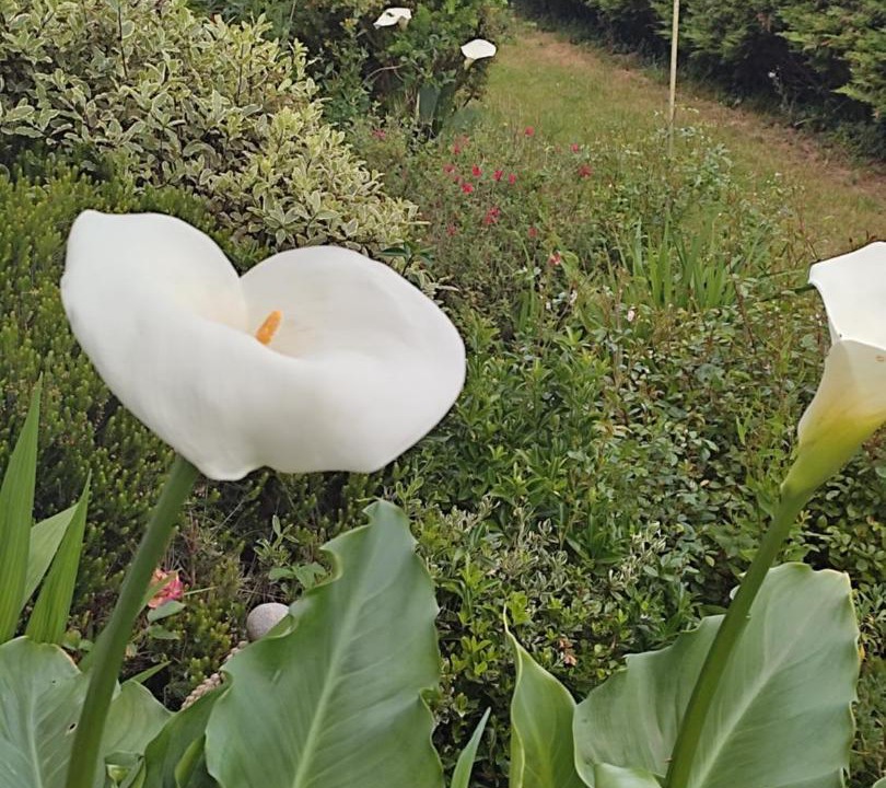 Photo of Patio Balcony in Hermanville-sur-Mer