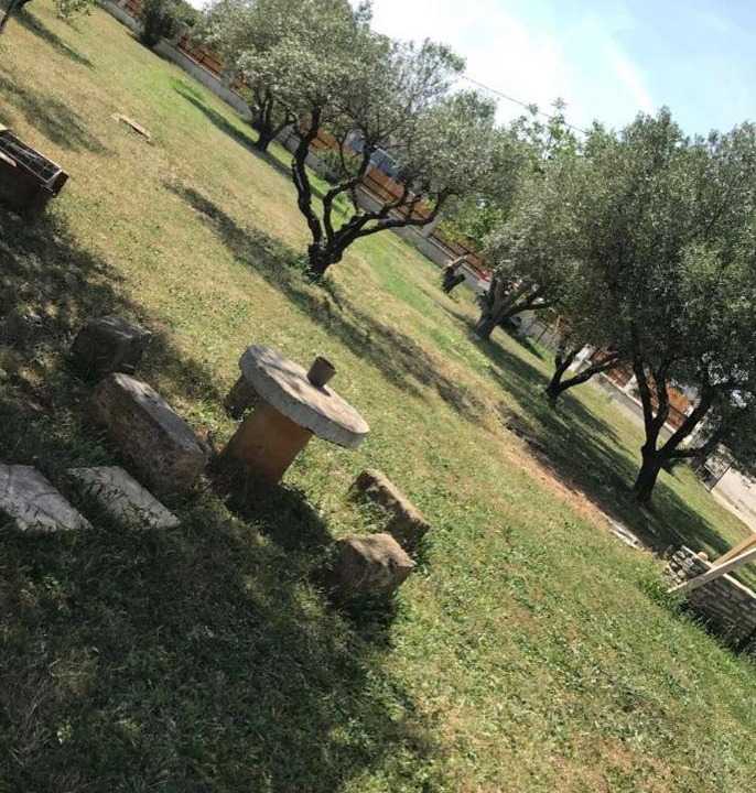 Photo of Others in Aimargues