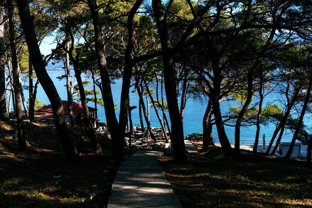 Photo of Others in Cavtat