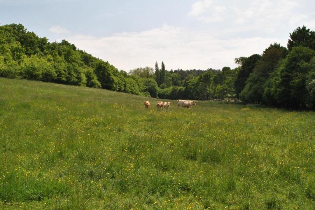 Photo of Others in Cheille