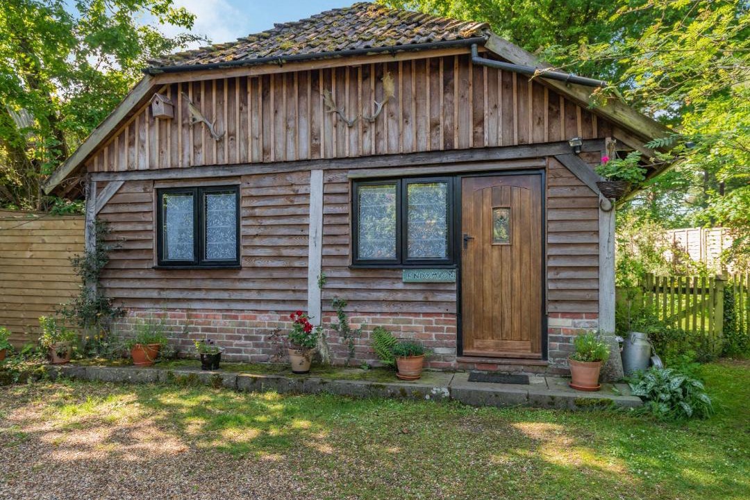 Photo of Others in New Forest District