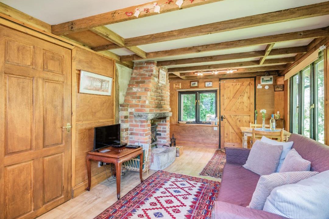 Photo of Others in New Forest District