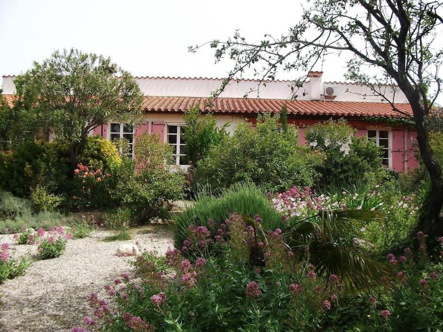 Photo of Buildings in Villeneuve-de-la-Raho