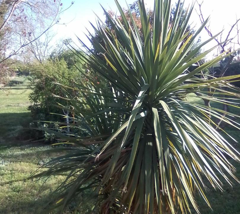 Photo of Outdoor in Sarrians