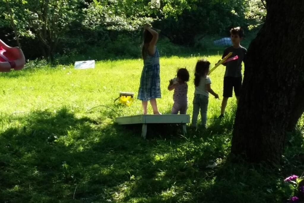 Photo of Others in Conewango Valley