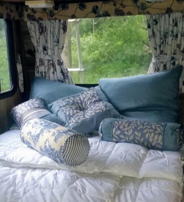 Photo of Others in Conewango Valley