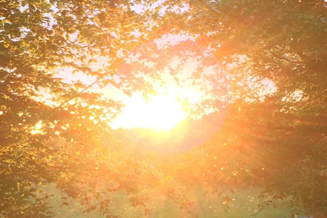 Photo of Outdoor in Blagdon