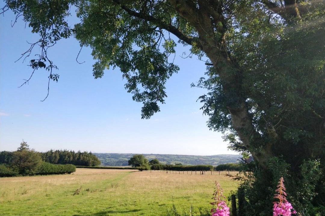 Photo of Outdoor in Blagdon