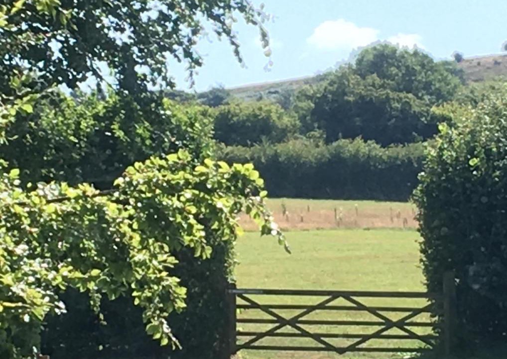 Photo of Others in Blagdon