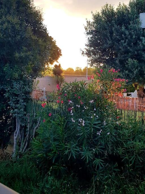 Photo of Outdoor in Lattes