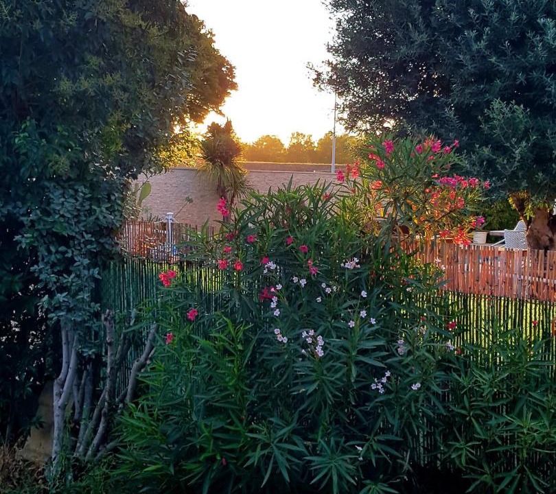 Photo of Outdoor in Lattes