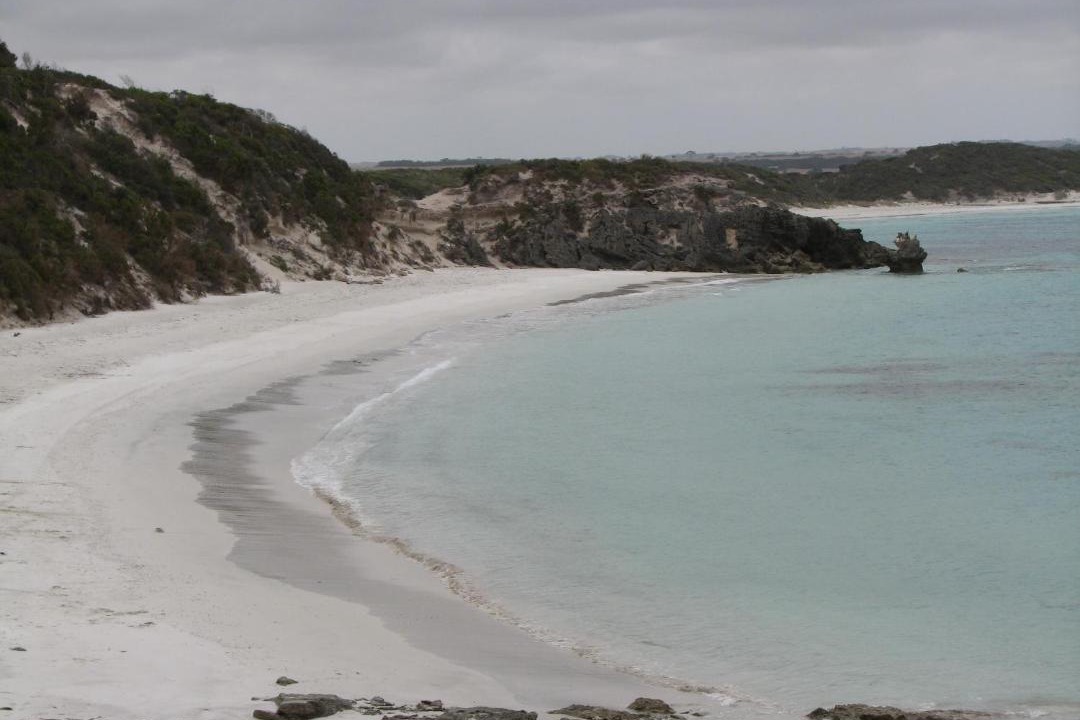 Photo of Others in Newland