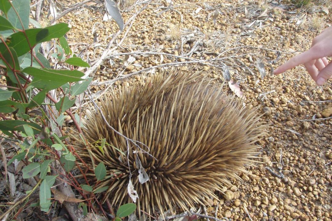 Photo of Outdoor in Newland