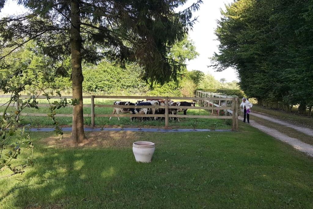 Photo of Others in Saint-Come-du-Mont