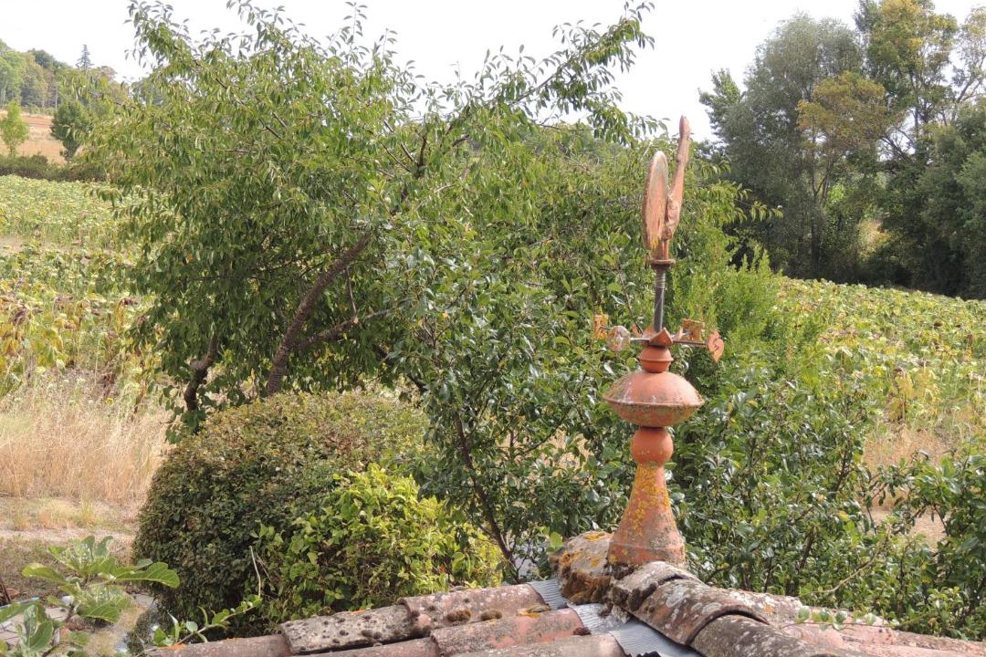 Photo of Others in Nogaret