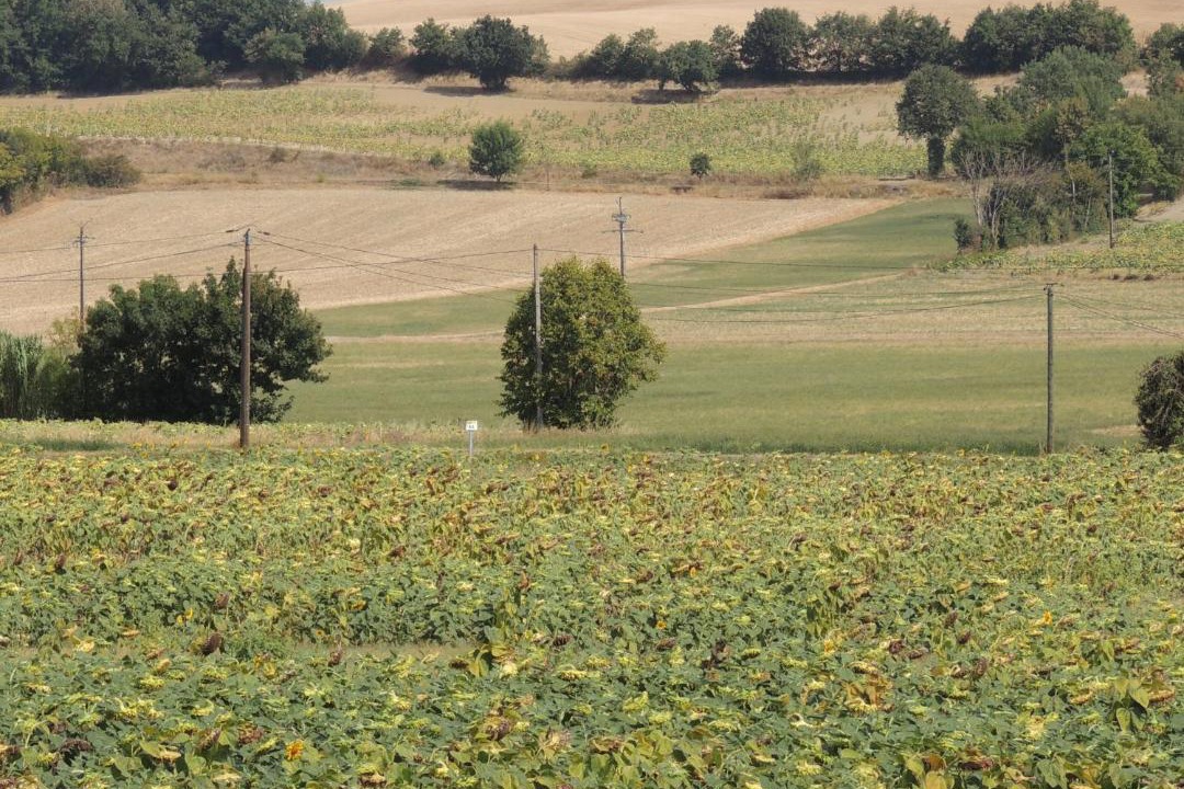 Photo of Outdoor in Nogaret