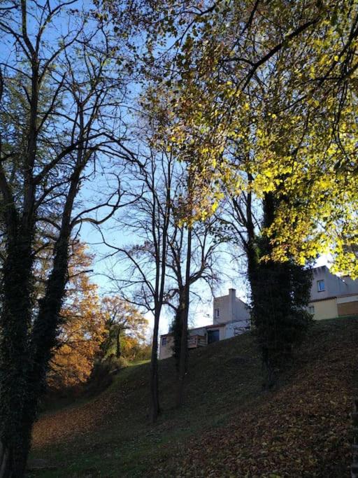 Photo of Others in Vieille-Brioude