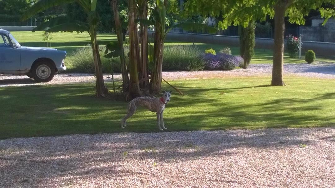 Photo of Outdoor in Cabara