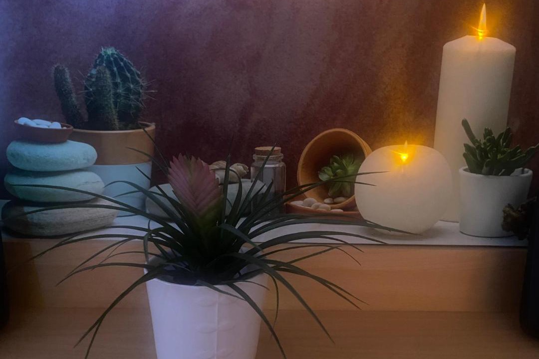 Photo of Others in Libourne