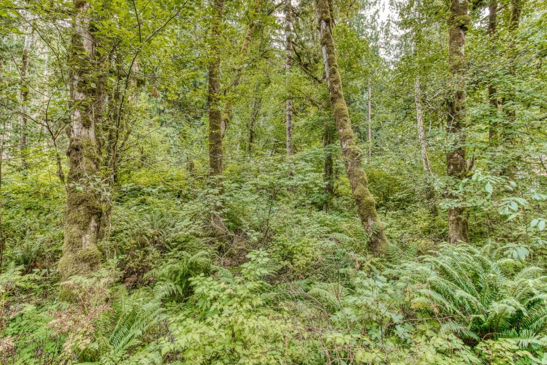 Photo of Others in Mount Hood Village