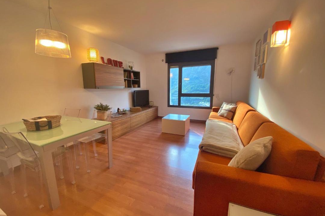 Photo of Livingroom in Encamp