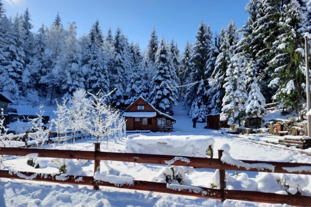 Photo of Others in Presika