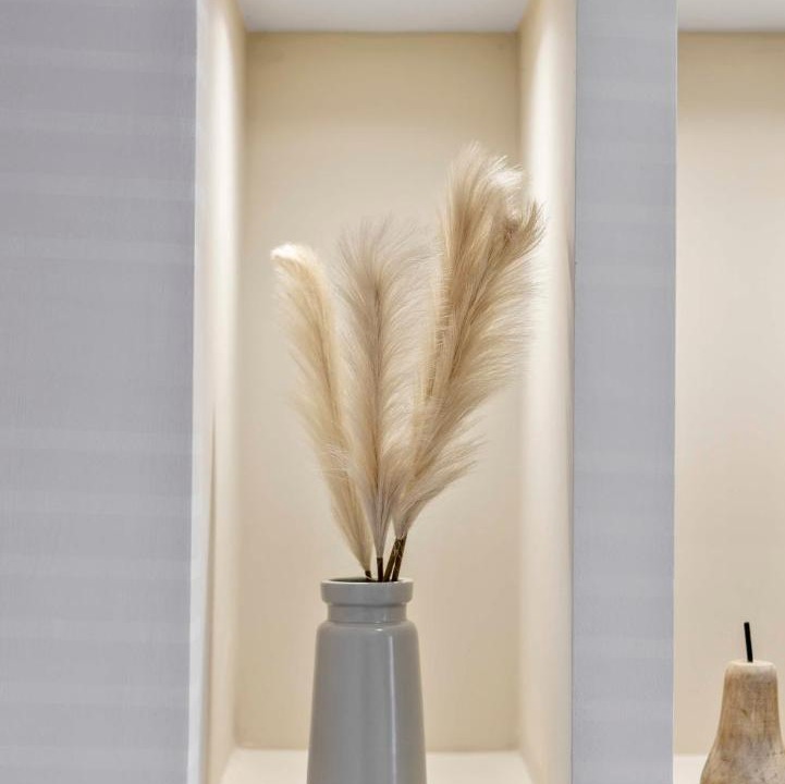 Photo of Others in South Shore