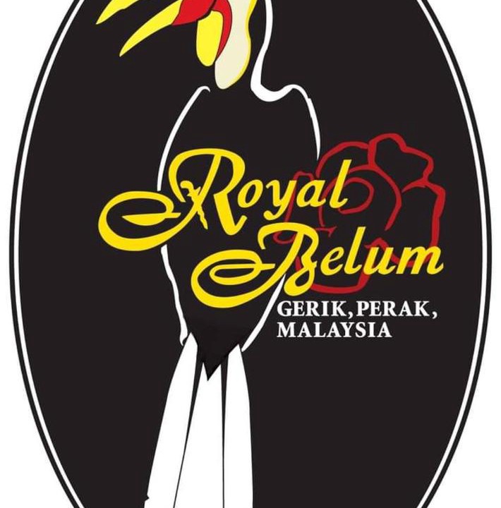 Photo of Others in Temenggor