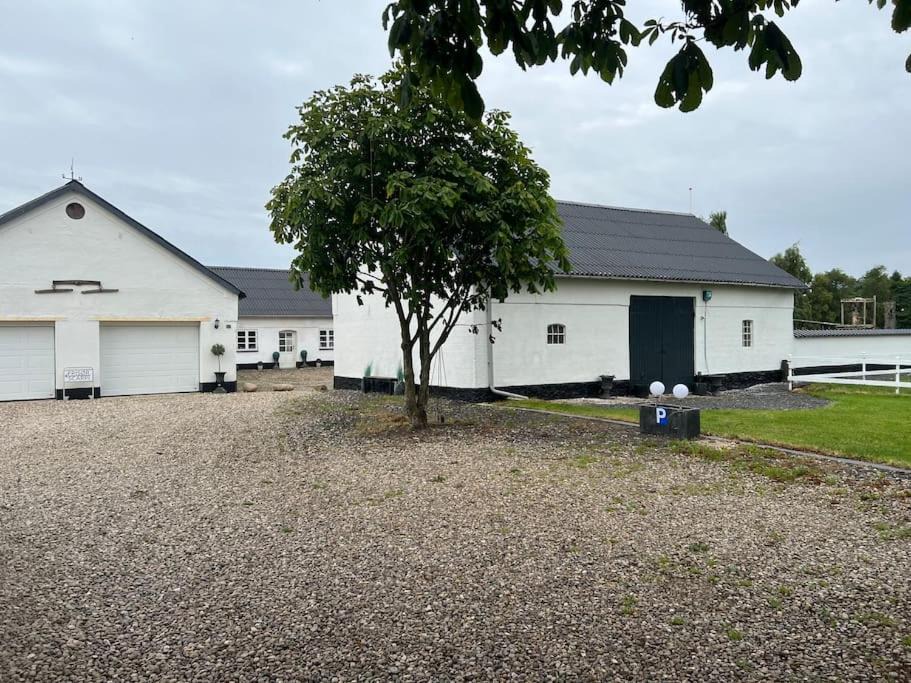 Photo of Buildings in Jelling