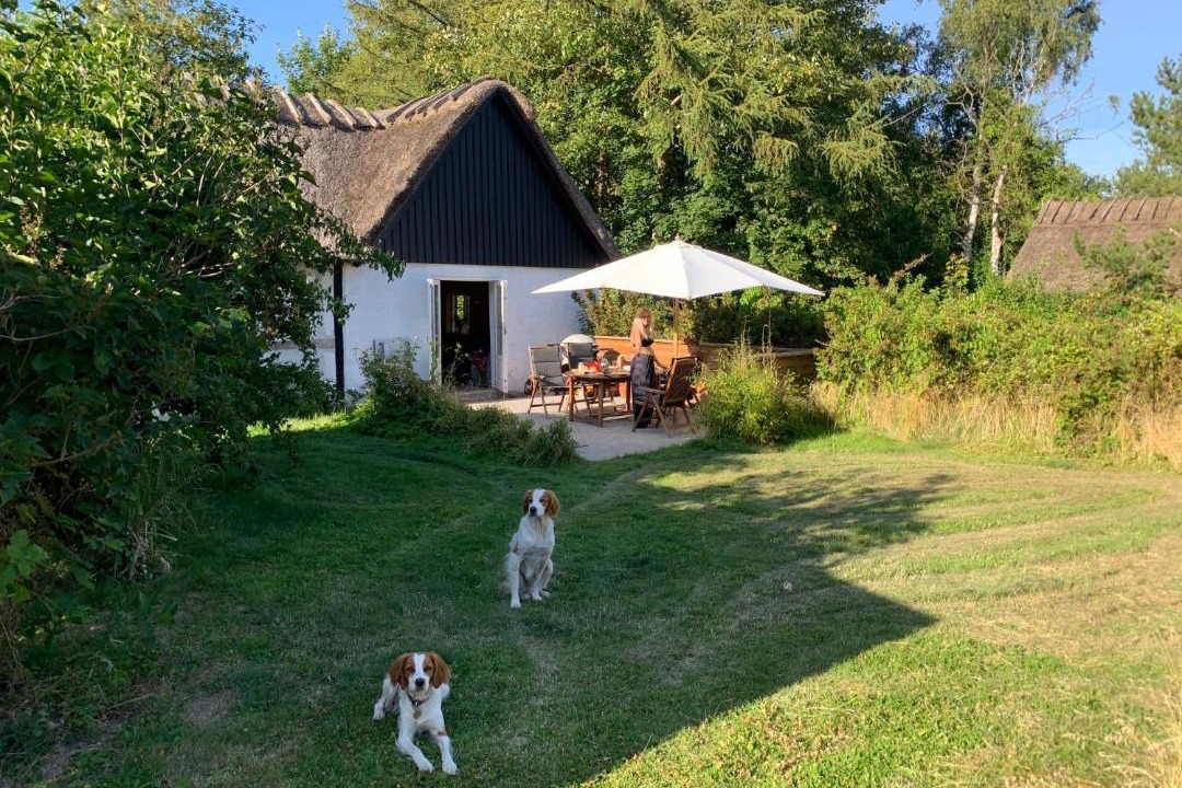 Photo of Buildings in Nysted