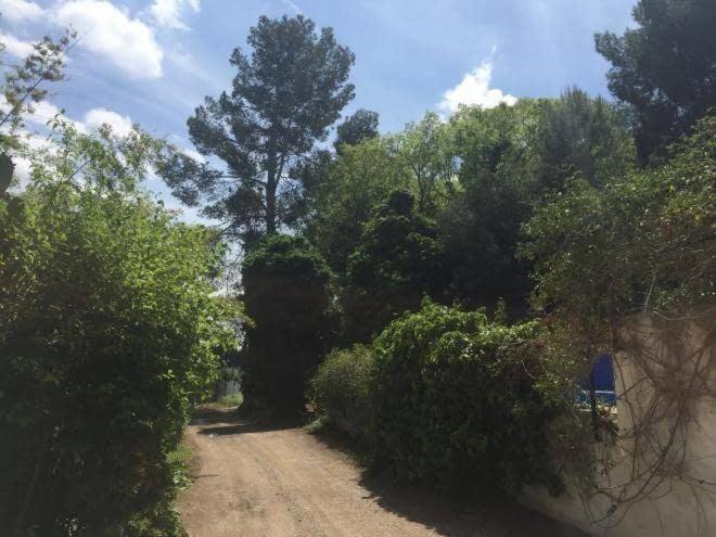 Photo of Outdoor in Xerta