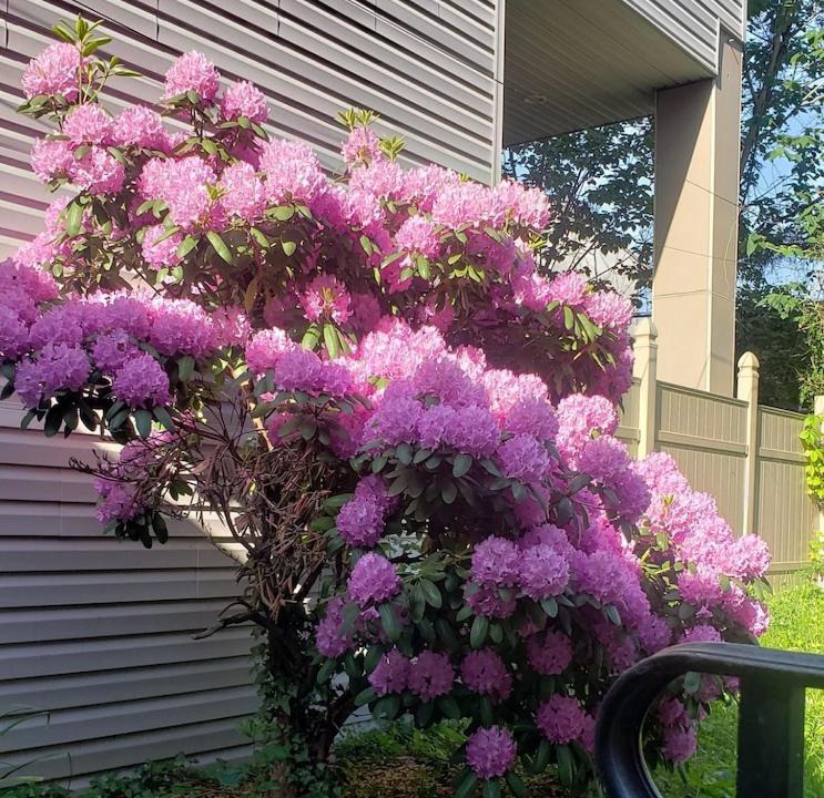 Photo of Buildings in Fairmount