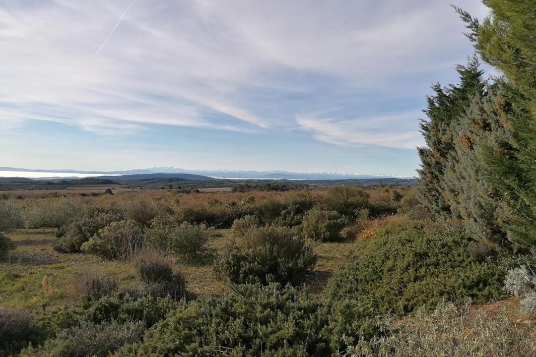 Photo of Others in Saint-Jean-de-Minervois